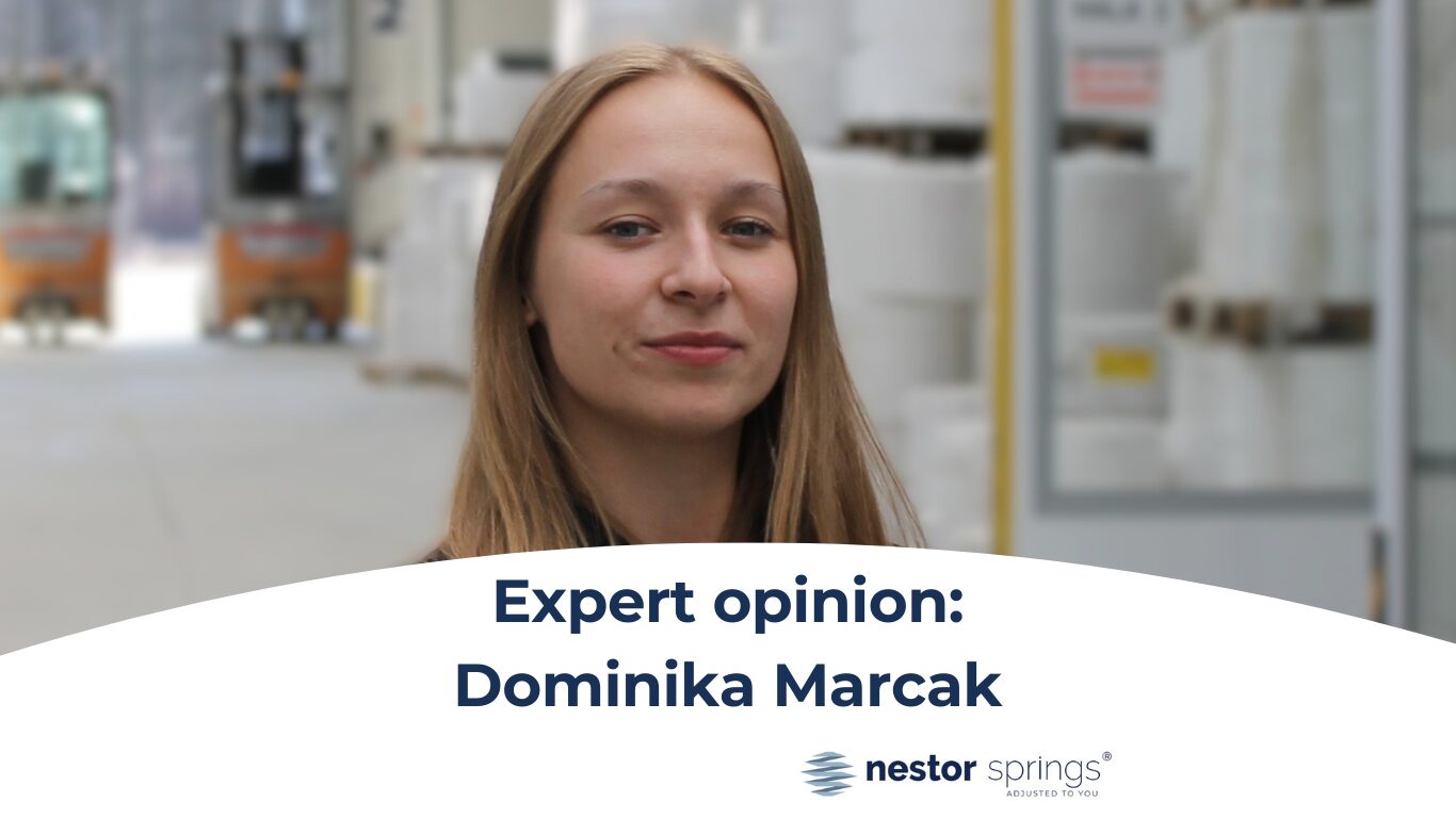 (Witryna internetowa) (1)