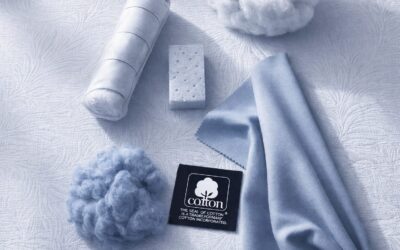 Cotton’s Comeback: What the Shift to&nbsp;Natural Fibers Means for Mattress Manufacturers